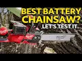 Milwaukee M18 Fuel 20 Chainsaw - Overhyped or Overpowered