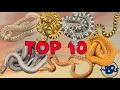 Top 10 SNAKES I produced in 2024