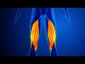 Hamstring Muscle Pain with blue background stock footage stock Cinefootage