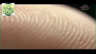 إختلاف بصمات الأصابع آية من آيات الله تعالى