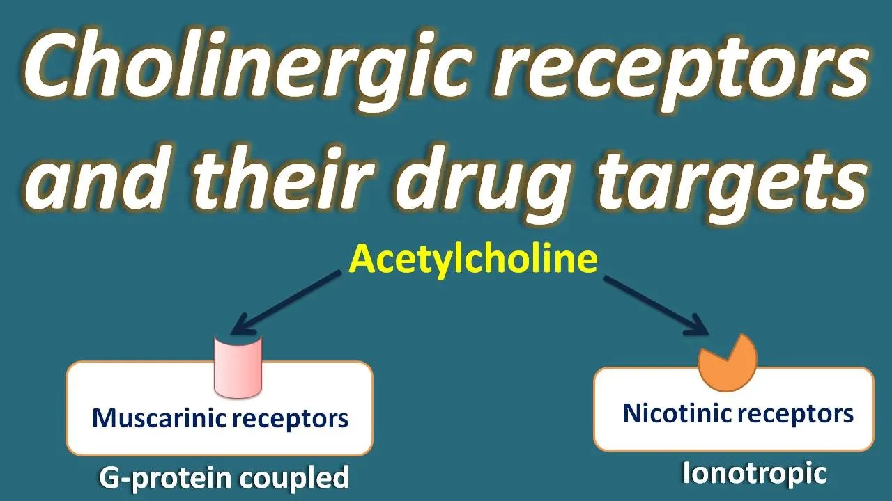 Cholinergic receptors and their drug targets