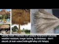 Thatch umbrellas\u0026Palapa kits-Thatched Umbrella/Palapa Covers- Tropical Palapa umbrellas kits