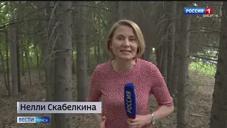 «Вести Омск», итоги дня от 17 мая 2021 года