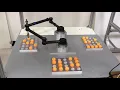 Pentagon Robot Five-bar robot Parallel SCARA linking to lead end-effector SHOW1 side view