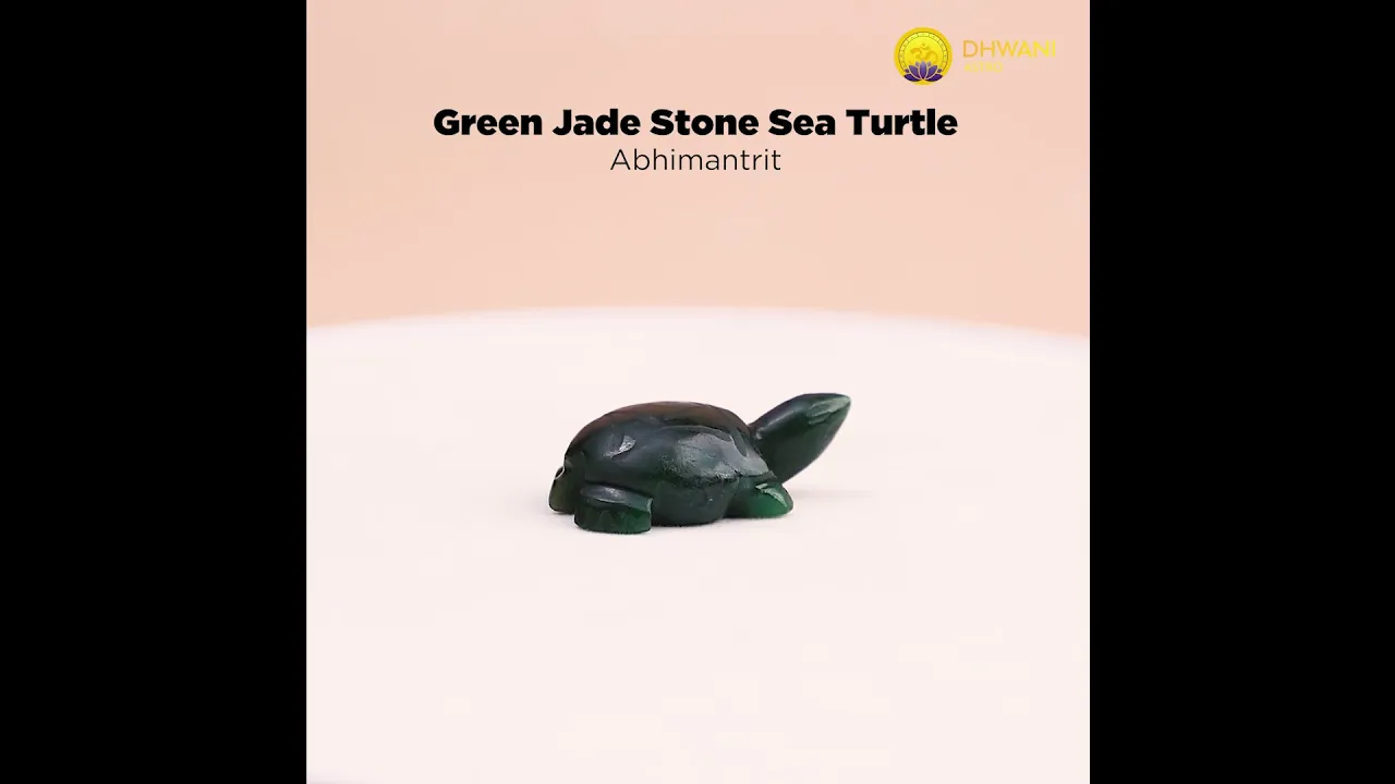 Green Jade Turtle