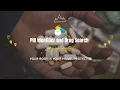 Pill Identifier and Drug Search