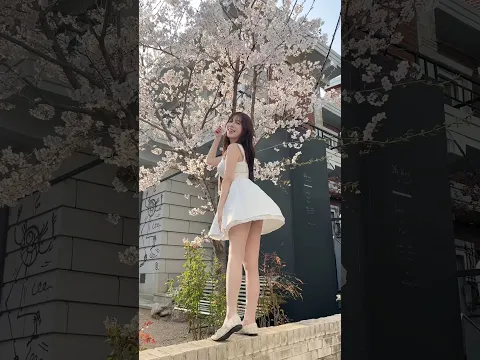 🌸내 친구들을 소개할게〰️🌸