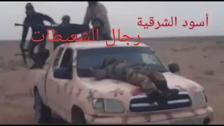 حلات واتساب الشعيطات اسود الشرقيه دندنها