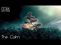Download Lagu The Calm - Chillstep Mix