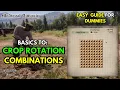 Medieval Dynasty Crop Rotation Guide Best Combinations Crop Basics