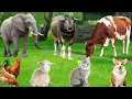 Download Lagu Farm Animal Collection: Cow, Horse, Goat, Sheep, Chicken, Pig, Rabbit, Deer, Giraffe – Animal Sounds