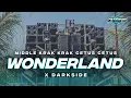Download Lagu DJ WONDERLAND X DARKSIDE MIDLE KRUWEK CETUS CETUS FULL BASS TERBARU