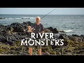 Non-stop River Monsters 24/7 | Full Episodes