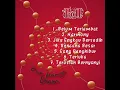 Padi full album Tak Hanya Diam