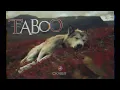 Download Lagu Taboo