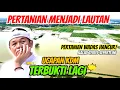 Lagu PERTANIAN JADI LAUTAN‼️HANCUR LEBUR SUDAH PERTANIAN WADAS KLO BEGINI TERUS. TERBUKTI LAGI UCAPAN KDM