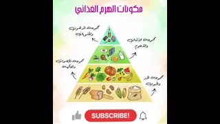 اعرف مكونات الهرم الغذائي بروتين خضروات الهرم الغذائي غذاء صحي مكونات 