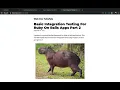 Basic Integration Testing With Capybara Ruby On Rails Testing