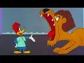 Lagu Woody Vs a Lion! 🦁 | Woody Woodpecker