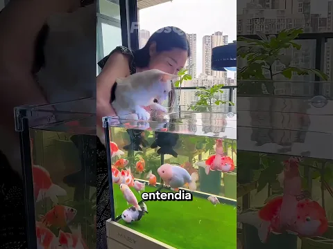 #bts