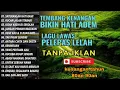 TANPA IKLAN || LAGU NOSTALGIA INDONESIA TH 80an 90an TERBAIK