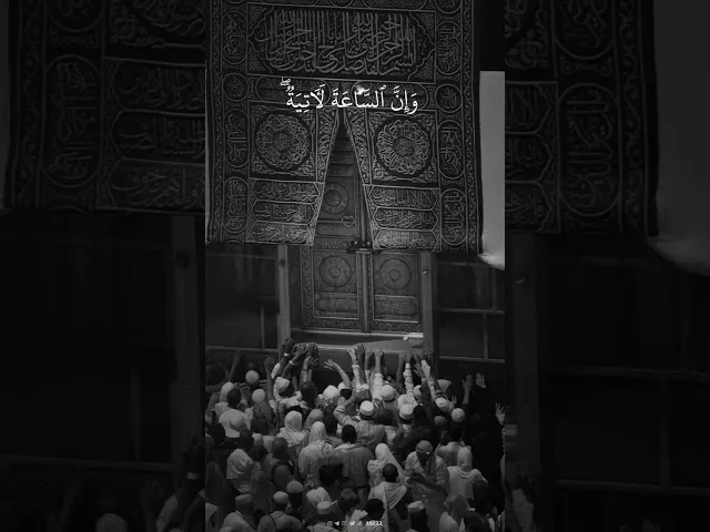 ⁣وَمَا خَلَقۡنَا ٱلسَّمَـٰوَ ٰ⁠تِ وَٱلۡأَرۡضَ وَمَا بَیۡنَهُمَاۤ إِلَّا بِٱلۡحَقِّۗ .. || علي جابر