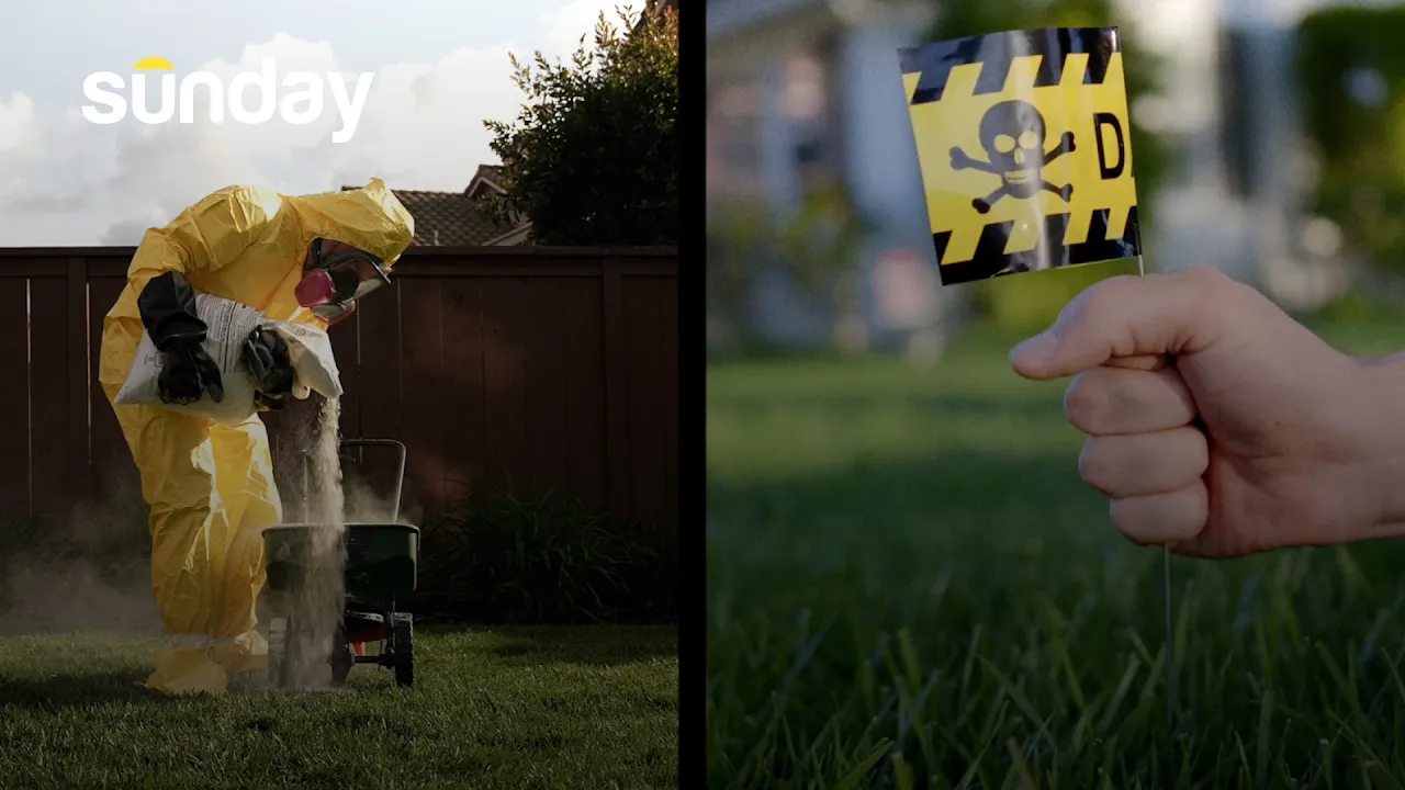 Sunday — Sunday Lawn Care — Get Your Free Soil Analysis (YouTube video ad)