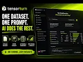 Train an AI Model from a Dataset Using One Prompt TensorTurn AutoML Demo