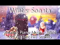 Download Lagu Relaxing Piano Music With Winter Scenes - Winter Sonata OST [1 hour]