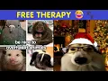 Animal Memes That Are Basically Free Therapy