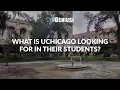 What is UChicago Looking for in their Students
