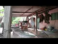 El  muchacho y el Potro/Los Cadetes de Linares
