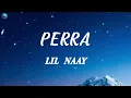 LIL NAAY - PERRA (Letra/Lyrics)