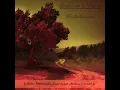 Violin Concerto No. 5 in A Major, K. 219: II. Adagio