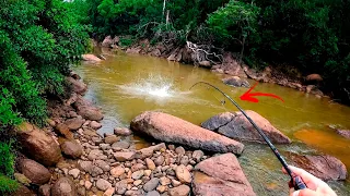OLHE BEM ESSE LUGAR!!! SALTEI DO CAIAQUE E ACHEI O ESCONDERIJO DELES... Pescaria onde ninguém vai!