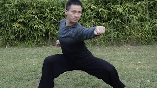Today's Kung-Fu Practice: Horse Stance