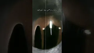 نظرة علينه سيد سلام الحسيني 