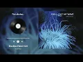 Download Lagu Bossa Nova Playlist for When You're Stuck in the Elevator