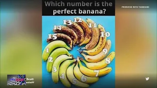 what does the perfect banana look like fox 5s dmv zone