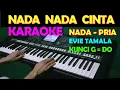 Download Lagu NADA NADA CINTA - Evie Tamala | KARAOKE NADA PRIA