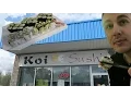 Koi Sushi ALL YOU CAN EAT