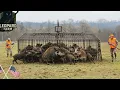 Unbelievable Tactics: How Texas Farmers Trap Millions of Wild Boars