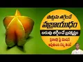 Vitamin C Rich Fruit Constipation Young Look Weight Loss Star Fruit Manthena s Health Tips