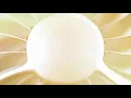 Illenium feat. Said The Sky - Where'd U Go [Community's Choice]
