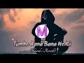 Tumhe Apna Banane Ki Kasam || Slowed+Reverb Song || Sadak