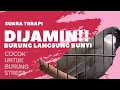 Download Lagu suara gemercik air dan burung poksay hongkong untuk pancingan supaya cepet bunyi