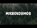 Lagu BTS - MIKROKOSMOS (Lyrics)