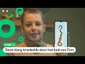 Download Lagu Giftige slang is nog steeds kwijt en dat is niet de enige