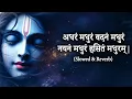 Lagu Adharam Madhuram Lofi Krishna Bhajan Bhakti Song Bhajan Song Madhurashtakam New Bhajan