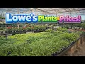 Lowe s Garden Center Walkthrough Plants Prices
